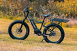 Rambo Electric Bikes RAMBO ELECTRIC BIKE RACK PLATFORM