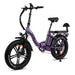 Rattan Electric Bike RLM-750 PR (Purple)- Rattan LF-750 PRO 750W Alloy Wheel Fat Tire 4.0 Foldable E Bike With Switch For Cruise Control