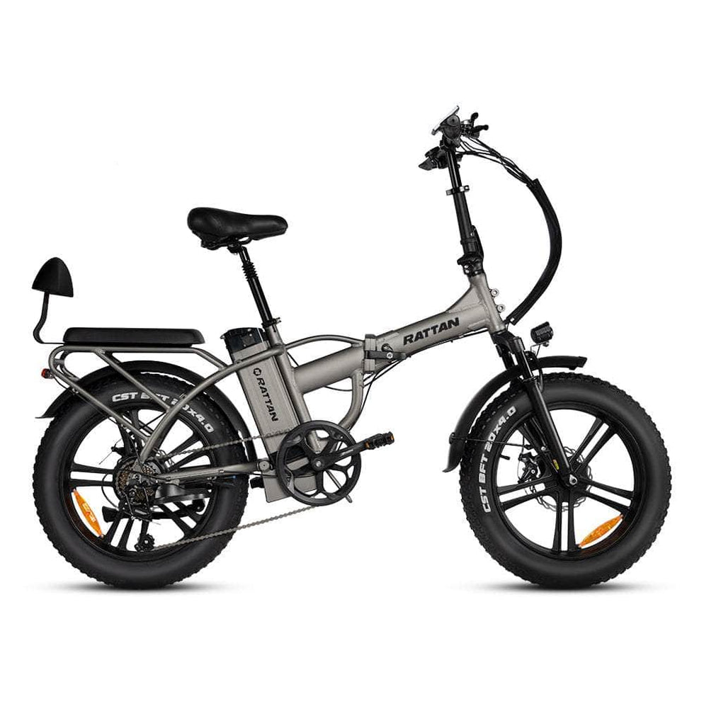 Rattan LM 750 PRO 750W 48V 13Ah Hub Motor Alloy Wheel Fat Tire 4.0 Fol