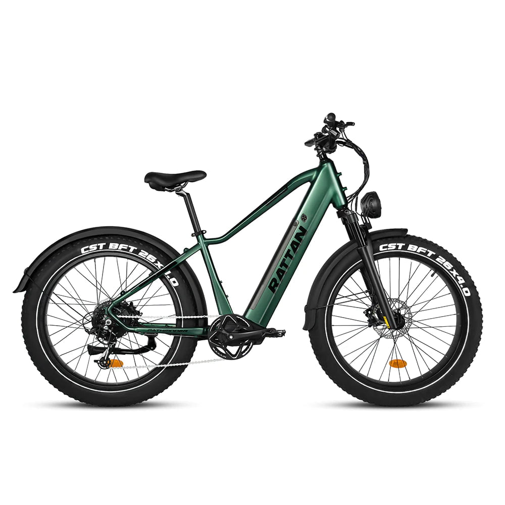 Giant electric best sale fat bike