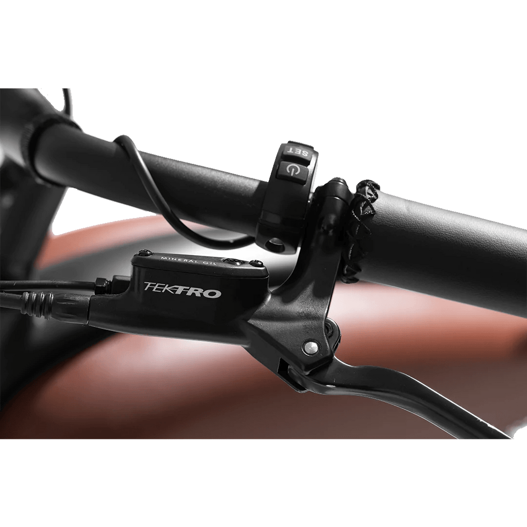 Revi Bikes Cheetah Mini Electric Bike 20" Fat Tires, 48V 500W Peak 750