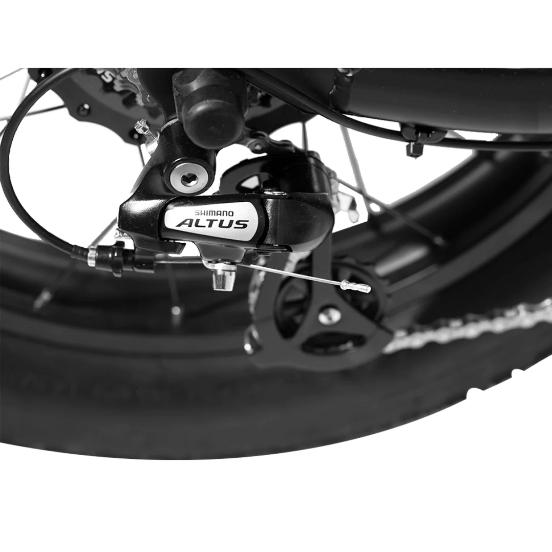 Revi Bikes Cheetah Mini Electric Bike 20" Fat Tires, 48V 500W Peak 750