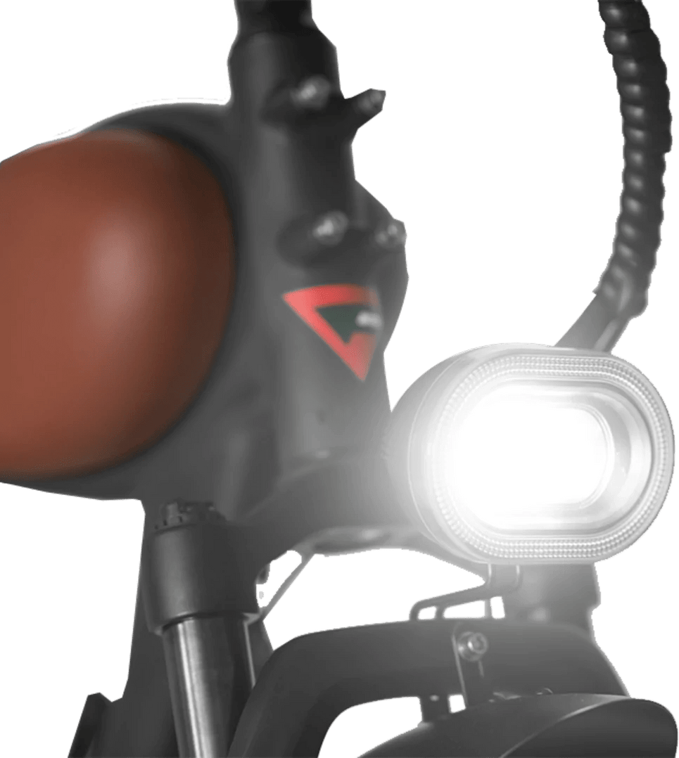 Revi Bikes Cheetah Mini Electric Bike 20" Fat Tires, 48V 500W Peak 750