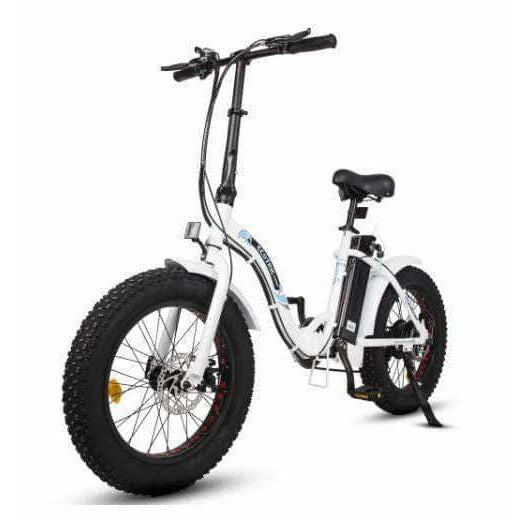 UL Certified-Ecotric 20inch Black or White Portable and folding fat bike model Dolphin